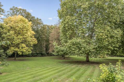 Communal Garden