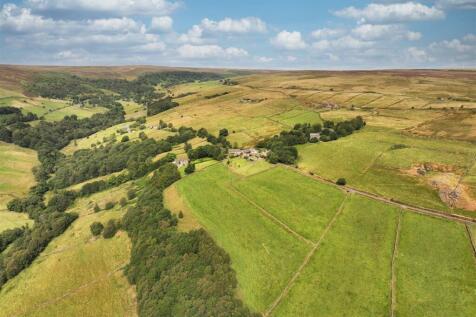 DJI_20240813113054_0941_D.jpeg
