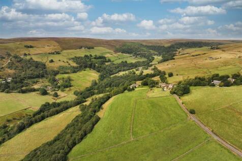 DJI_20240813113112_0942_D.jpeg