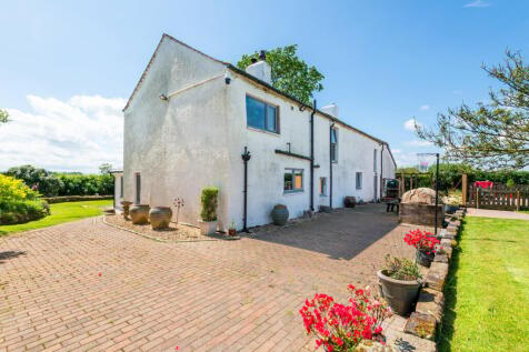 Rear of the Property