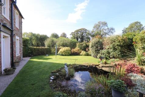 Garden pond