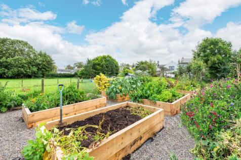 Vegetable garden