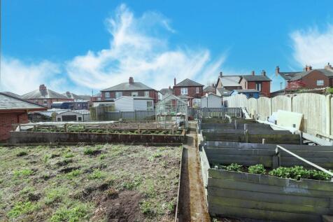 Vegetable Garden