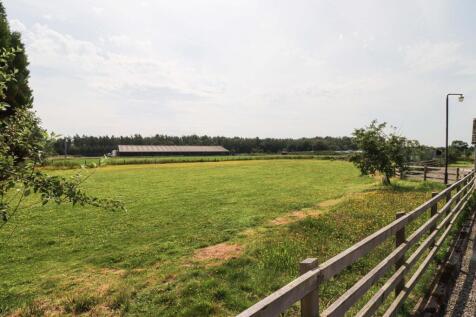 Paddock