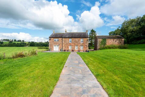 Rear of the Property