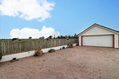 Rear Garden &amp; Drive