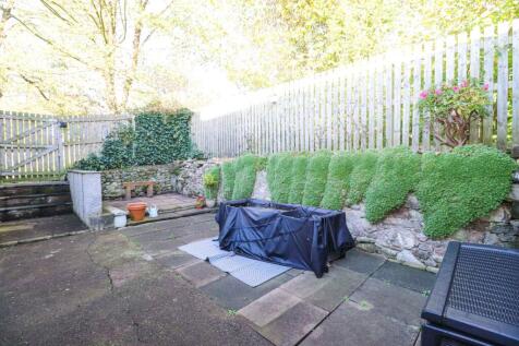 Rear Yard