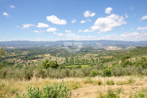 Panorama e Particolari