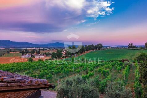 Panorama e Particolari