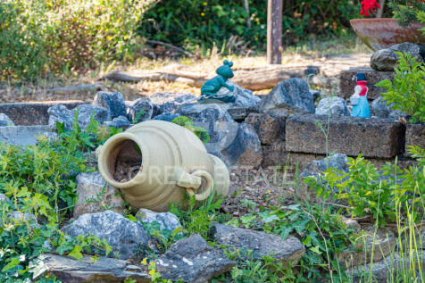 Panorama e Particolari