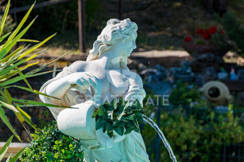 Panorama e Particolari