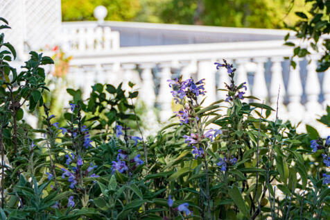 Panorama e Particolari