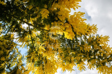 Panorama e Particolari
