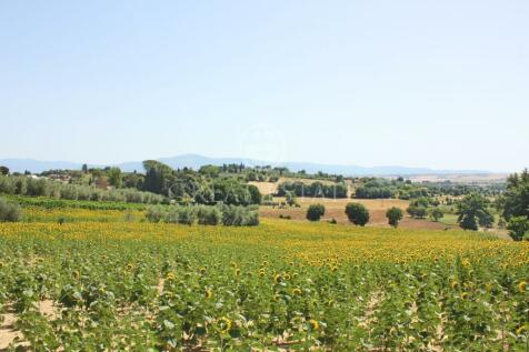 Panorama e Particolari