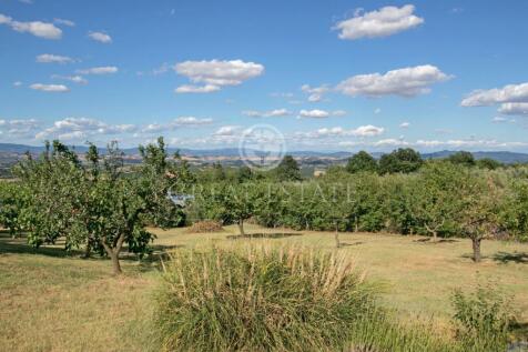 Panorama e Particolari