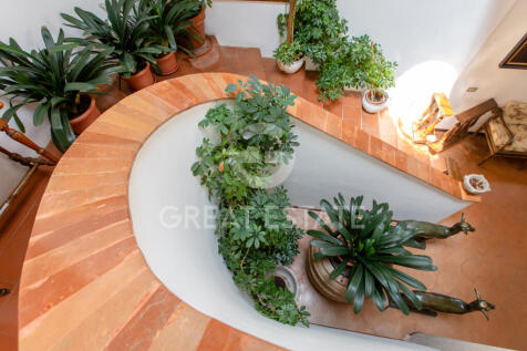 Panorama e Particolari