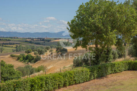 Panorama e Particolari