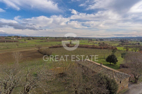 Panorama e Particolari