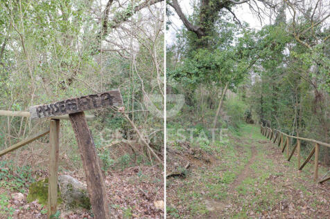 Panorama e Particolari