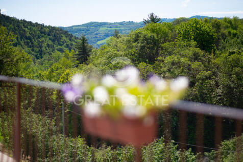 Panorama e Particolari