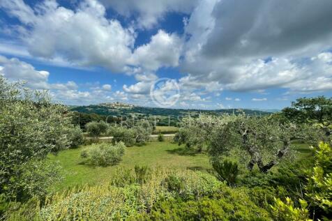 Panorama e Particolari