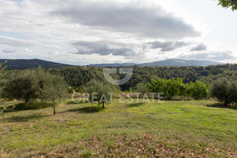 Panorama e Particolari