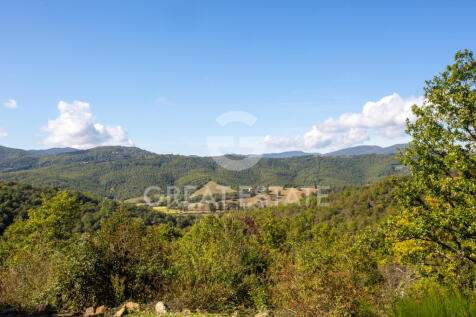 Panorama e Particolari