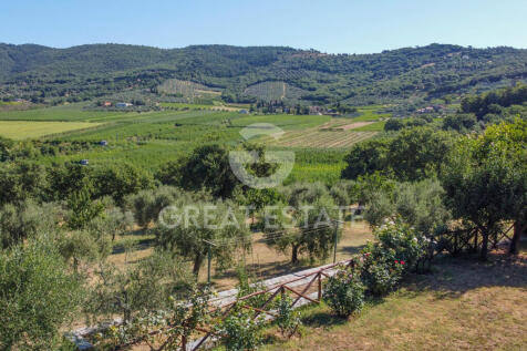 Panorama e Particolari