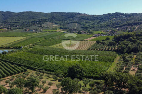 Panorama e Particolari