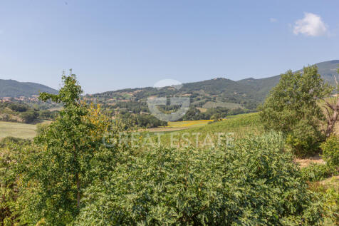 Panorama e Particolari