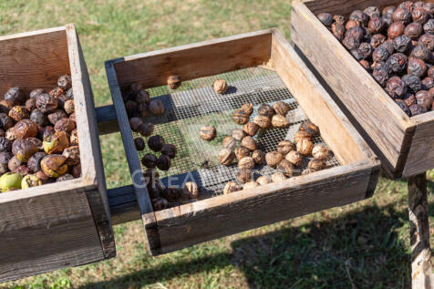 Panorama e Particolari