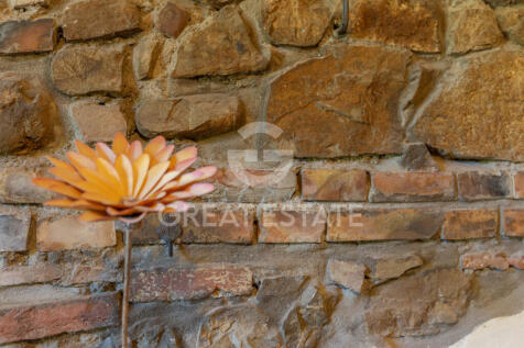 Panorama e Particolari