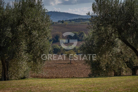 Panorama e Particolari