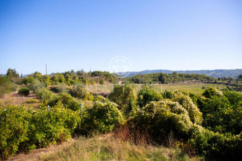 Panorama e Particolari