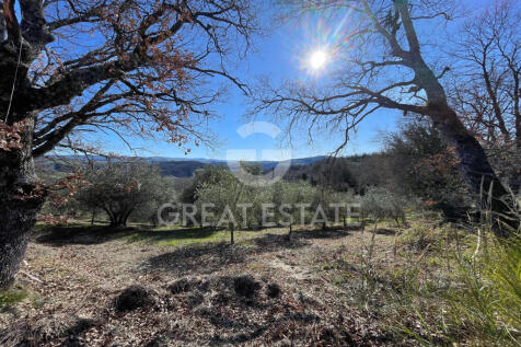 Panorama e Particolari