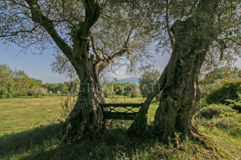 Panorama e Particolari