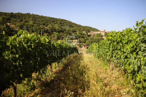 Panorama e Particolari