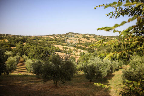 Panorama e Particolari