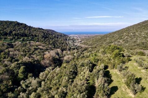 Panorama e Particolari