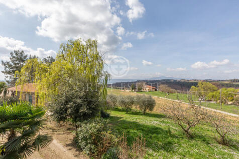 Panorama e Particolari