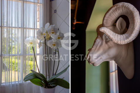 Panorama e Particolari