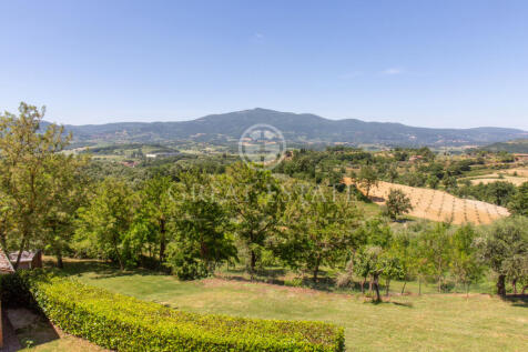 Panorama e Particolari