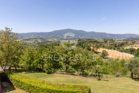 Panorama e Particolari