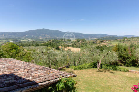 Panorama e Particolari