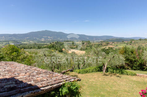 Panorama e Particolari