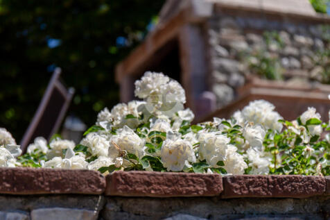 Panorama e Particolari