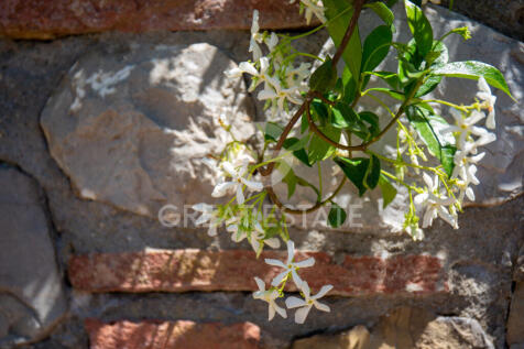Panorama e Particolari
