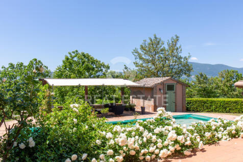 Panorama e Particolari