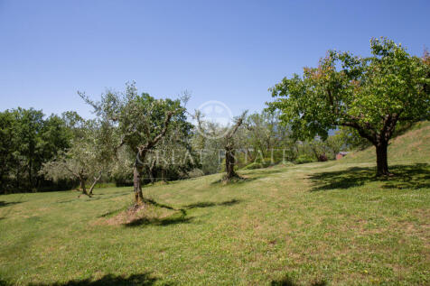 Panorama e Particolari