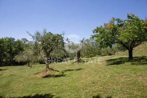 Panorama e Particolari